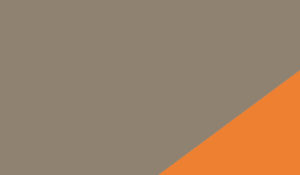 Taupe-Orange